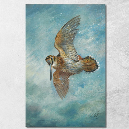 Beccaccia Sorpresa Da Una Bufera Archibald Thorburn ath35 quadro stampato su tela