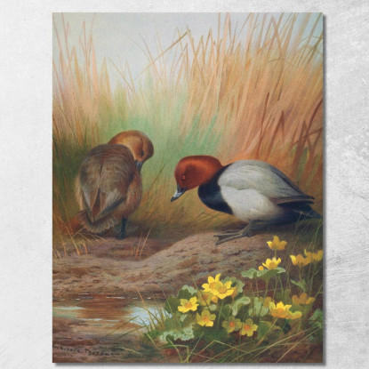 Moriglione Comune Archibald Thorburn ath37 quadro stampato su tela