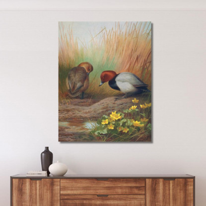 Moriglione Comune Archibald Thorburn ath37 quadro stampato su tela