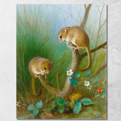 Moscardini Archibald Thorburn ath41 quadro stampato su tela