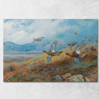 Caccia Alla Pernice Archibald Thorburn ath42 quadro stampato su tela