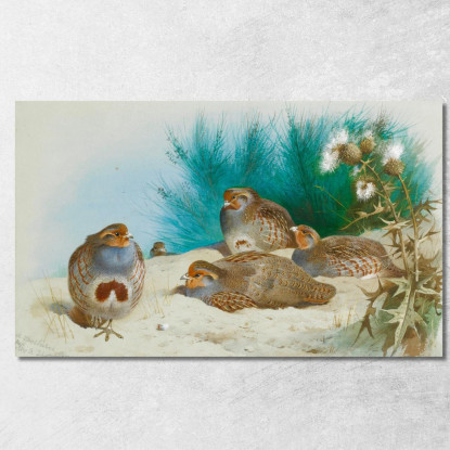 Pernice Inglese Con Ginestra E Cardi Archibald Thorburn ath45 quadro stampato su tela