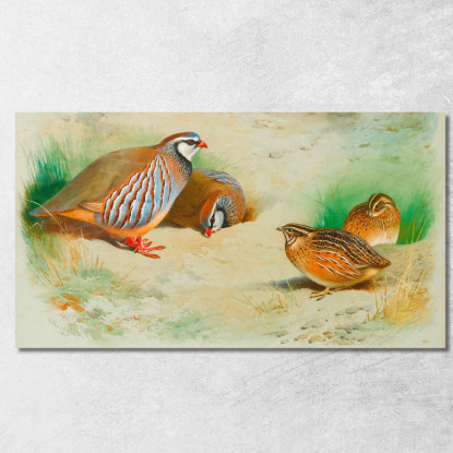 Pernice Francese E Pulcini Archibald Thorburn ath47 quadro stampato su tela