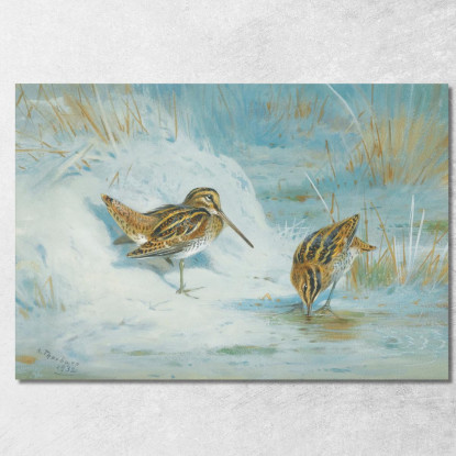 Beccaccino Congelato Archibald Thorburn ath48 quadro stampato su tela