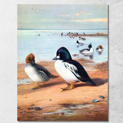 Quattrocchi Archibald Thorburn ath49 quadro stampato su tela