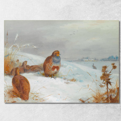 Tempi Difficili: Pernici E Una Lepre Archibald Thorburn ath54 quadro stampato su tela