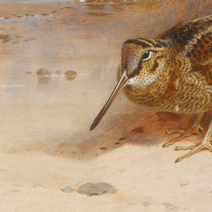 Affamati E Senza Casa Archibald Thorburn ath56 quadro stampato su tela