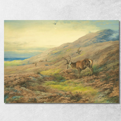 Nelle Highlands: Cervo Rosso Assalito Da Una Coppia Di Falchi Pellegrini Archibald Thorburn ath57 quadro stampato su tela