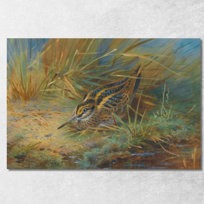 Beccaccino Archibald Thorburn ath59 quadro stampato su tela