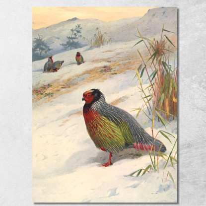 Pernice Sanguigna Di Kuser Archibald Thorburn ath60 quadro stampato su tela