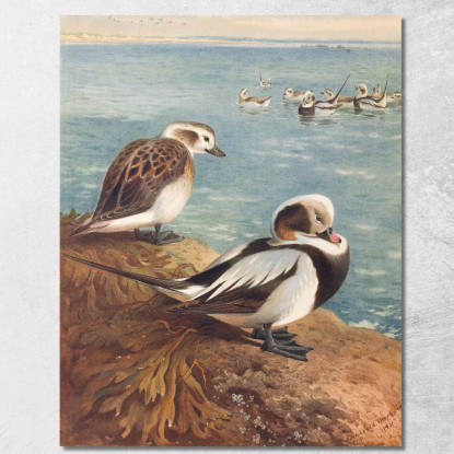 Moretta Codona In Inverno Archibald Thorburn ath63 quadro stampato su tela