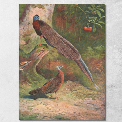 Fagiano Argus Malese Archibald Thorburn ath64 quadro stampato su tela