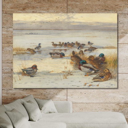 Germano Reale E Alzavola In Una Palude Innevata Archibald Thorburn ath65 quadro stampato su tela