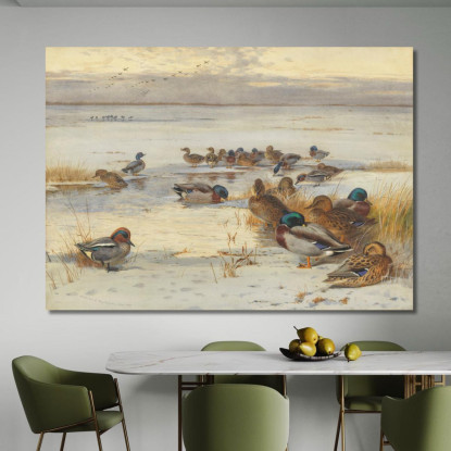 Germano Reale E Alzavola In Una Palude Innevata Archibald Thorburn ath65 quadro stampato su tela