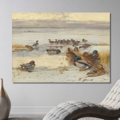 Germano Reale E Alzavola In Una Palude Innevata Archibald Thorburn ath65 quadro stampato su tela