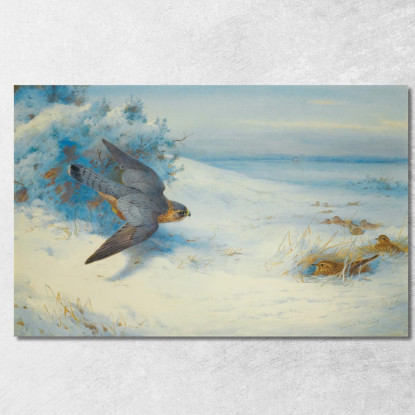 Smeriglio E Allodole Archibald Thorburn ath68 quadro stampato su tela