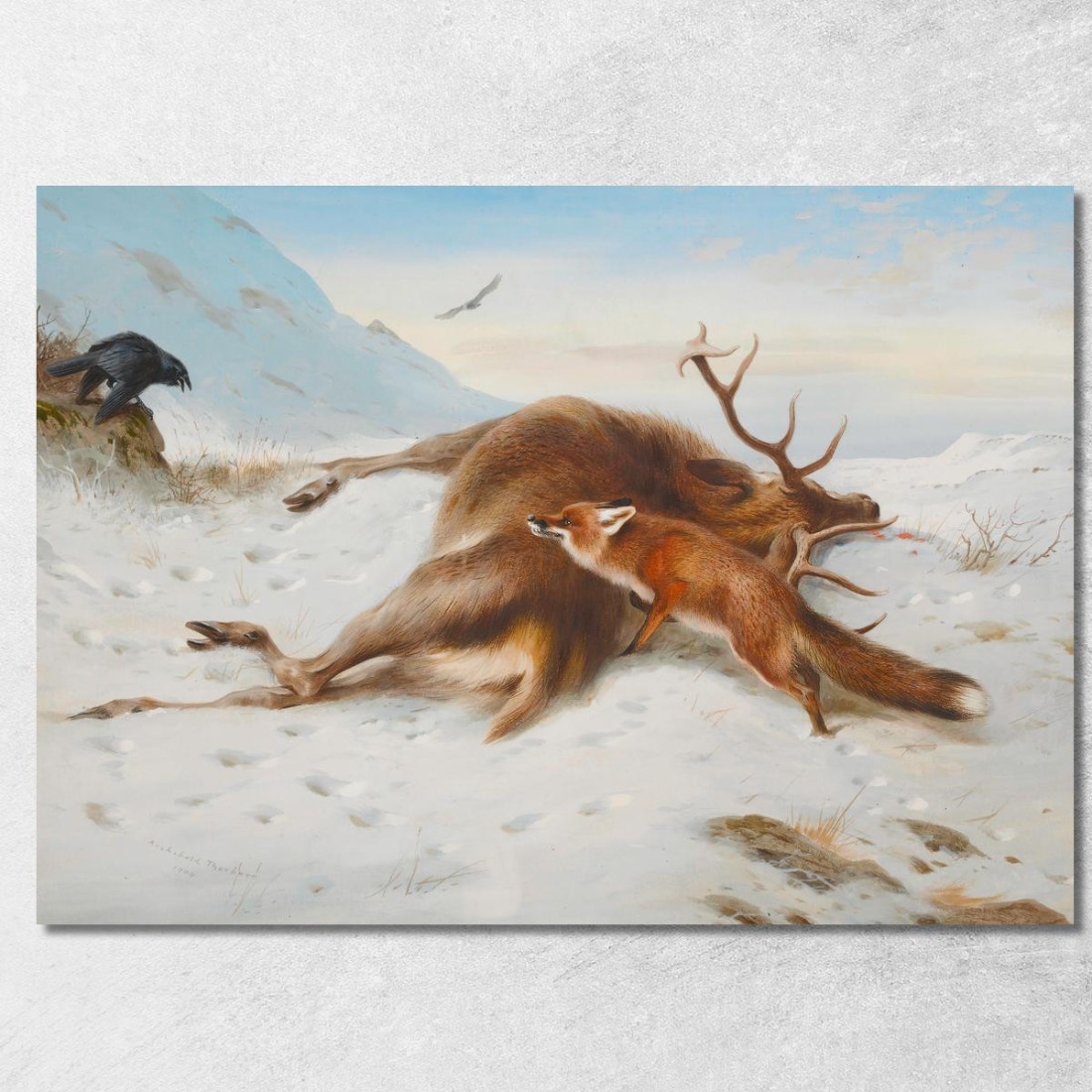 Non Per La Dispensa Archibald Thorburn ath70 quadro stampato su tela