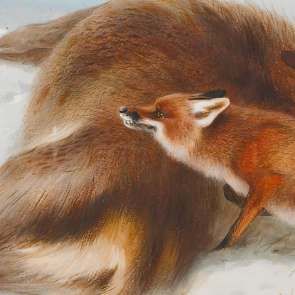 Non Per La Dispensa Archibald Thorburn ath70 quadro stampato su tela