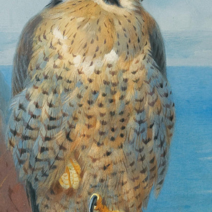 Pellegrino Ad Auchencairn Archibald Thorburn ath79 quadro stampato su tela