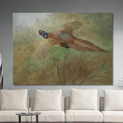 Fagiano In Volo Archibald Thorburn ath80 quadro stampato su tela