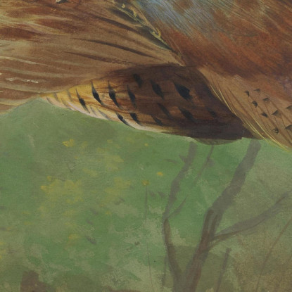 Fagiano In Volo Archibald Thorburn ath80 quadro stampato su tela