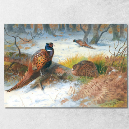 Fagiani Nella Neve Archibald Thorburn ath83 quadro stampato su tela