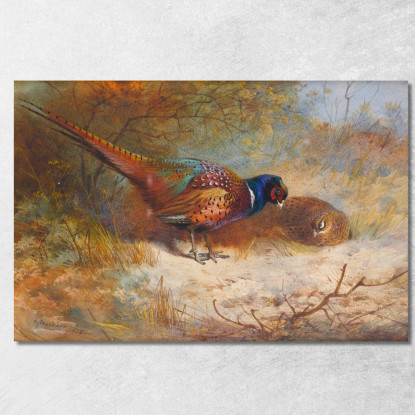 Fagiani Archibald Thorburn ath84 quadro stampato su tela