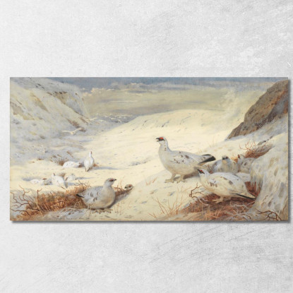 Pernice Bianca In Piumaggio Invernale Archibald Thorburn ath85 quadro stampato su tela