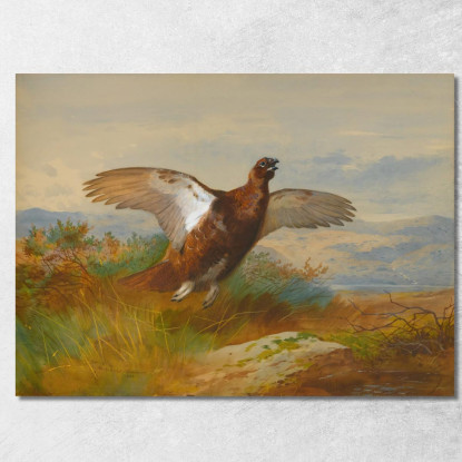 Pernice Rossa In Volo Archibald Thorburn ath86 quadro stampato su tela