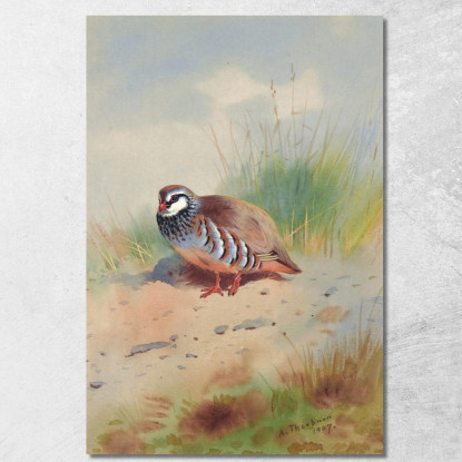 Pernice Zamperosse Archibald Thorburn ath88 quadro stampato su tela