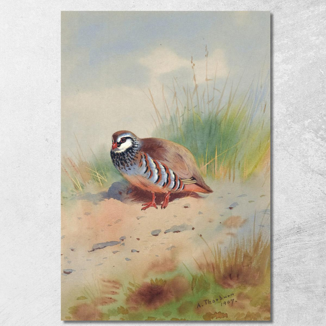 Pernice Zamperosse Archibald Thorburn ath88 quadro stampato su tela