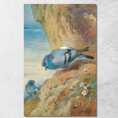 Colombacci Archibald Thorburn ath89 quadro stampato su tela