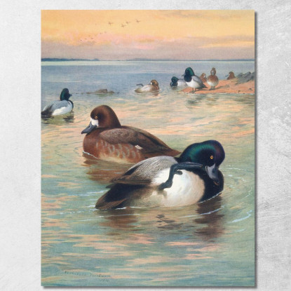 Moretta Archibald Thorburn ath90 quadro stampato su tela