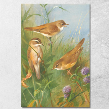 Cannaiola Cannaiola Di Fiume E Cannaiola Verdognola Archibald Thorburn ath91 quadro stampato su tela