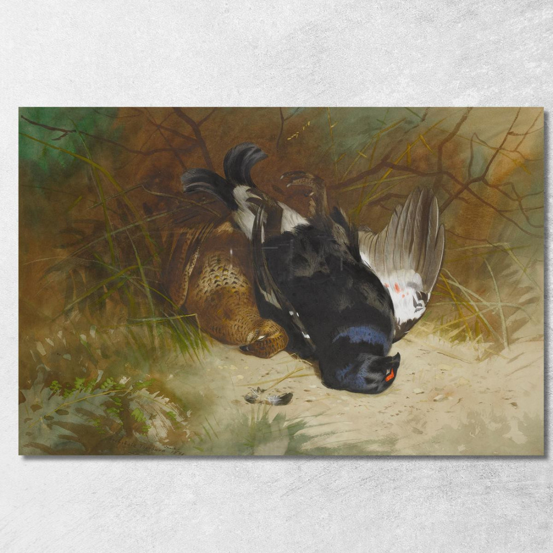 Natura Morta Con Una Coppia Di Galli Forcelli Archibald Thorburn ath94 quadro stampato su tela