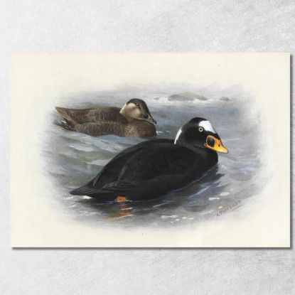 Orco Marino Archibald Thorburn ath96 quadro stampato su tela