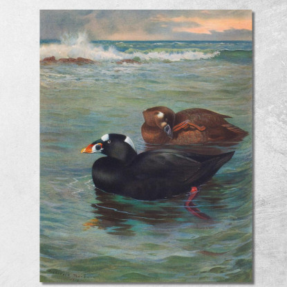 Orco Marino Archibald Thorburn ath97 quadro stampato su tela