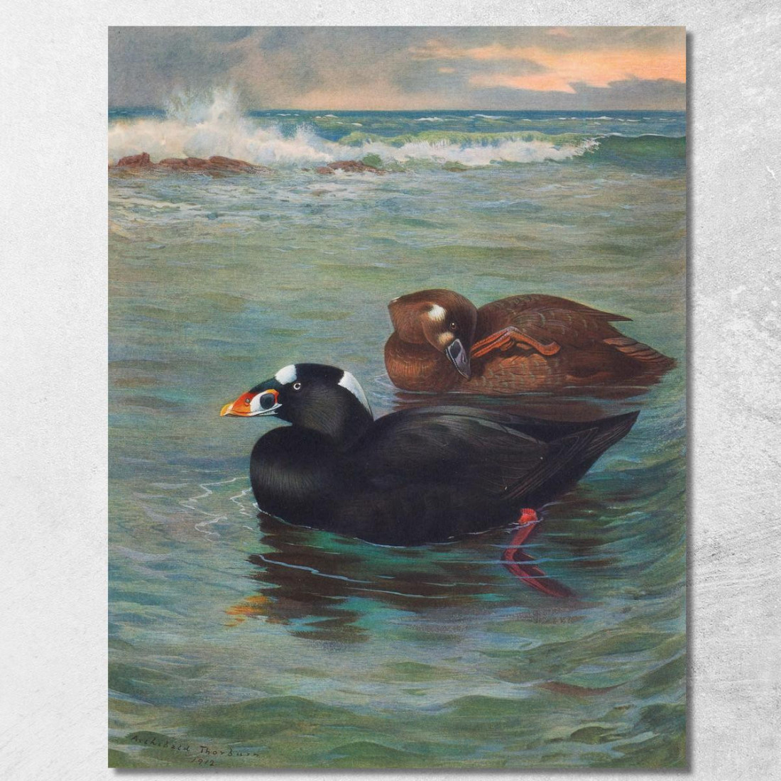 Orco Marino Archibald Thorburn ath97 quadro stampato su tela