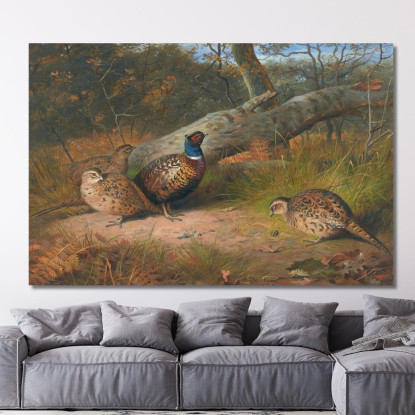 Il Faggio Caduto - Un Gallo E Tre Fagiane Con Una Vespa Archibald Thorburn ath101 quadro stampato su tela