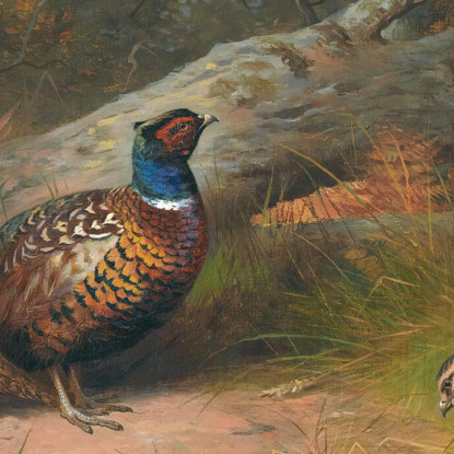 Il Faggio Caduto - Un Gallo E Tre Fagiane Con Una Vespa Archibald Thorburn ath101 quadro stampato su tela