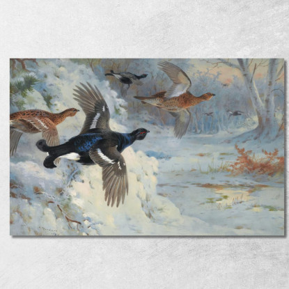 Attraverso Le Macchie Innevate - Gallo Forcello Archibald Thorburn ath105 quadro stampato su tela