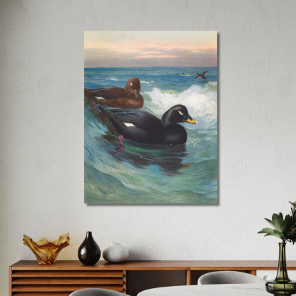 Orco Marino Vellutato Archibald Thorburn ath107 quadro stampato su tela