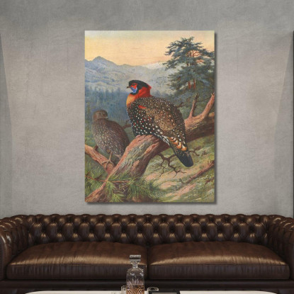 Tragopano Occidentale Archibald Thorburn ath109 quadro stampato su tela