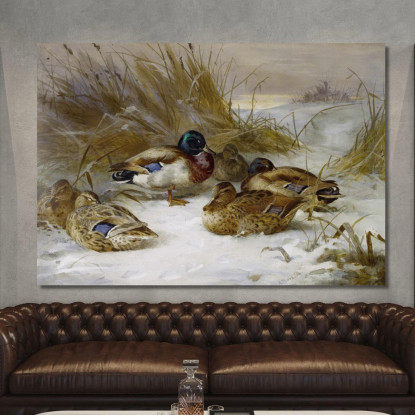 Paesaggio Invernale Con Germano Reale Archibald Thorburn ath111 quadro stampato su tela