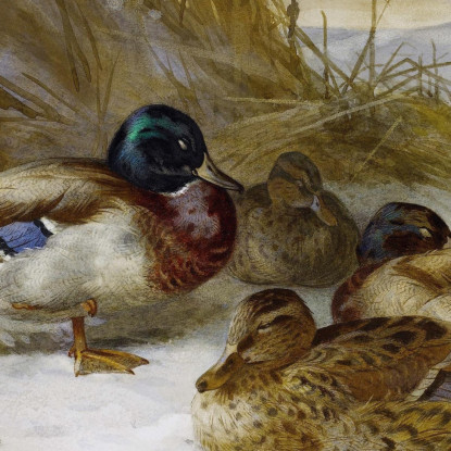 Paesaggio Invernale Con Germano Reale Archibald Thorburn ath111 quadro stampato su tela