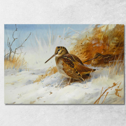 Beccaccia In Inverno Archibald Thorburn ath112 quadro stampato su tela