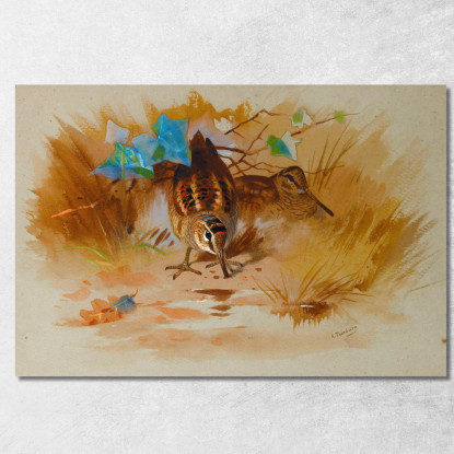 Beccaccia In Una Conca Sabbiosa Archibald Thorburn ath113 quadro stampato su tela