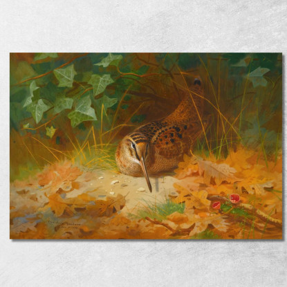 Beccaccia Archibald Thorburn ath115 quadro stampato su tela