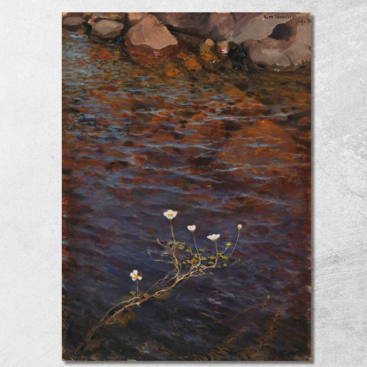 Ranúnculo Acuático En El Estanque Eero Järnefelt ejr26 cuadro en lienzo