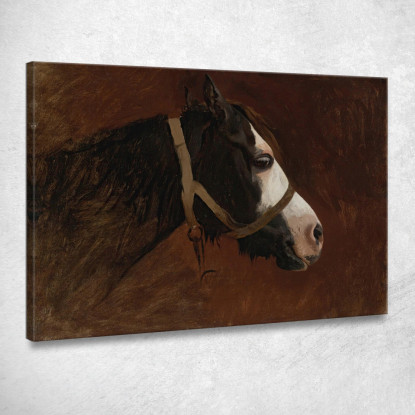Profilo Di Un Cavallo Jean-Léon Gérôme jlg108 quadro stampato su tela